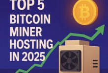 top-5-most-profitable-bitcoin-miner-hosting-in-2025