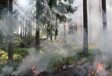 how-illinois-schools-can-prepare-for-natural-disasters