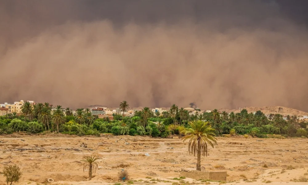 how-desert-dust-and-monsoon-residue-damage-outdoor-surfaces